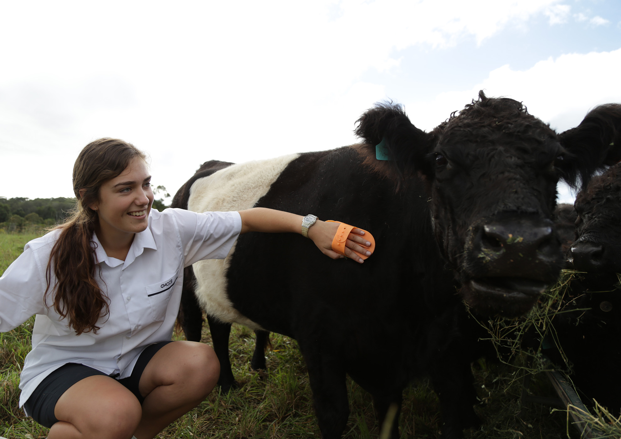 Agriculture at coffs christian community school