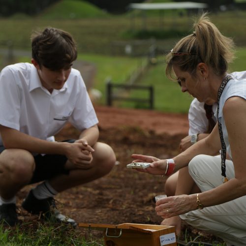 Agriculture at coffs christian community school