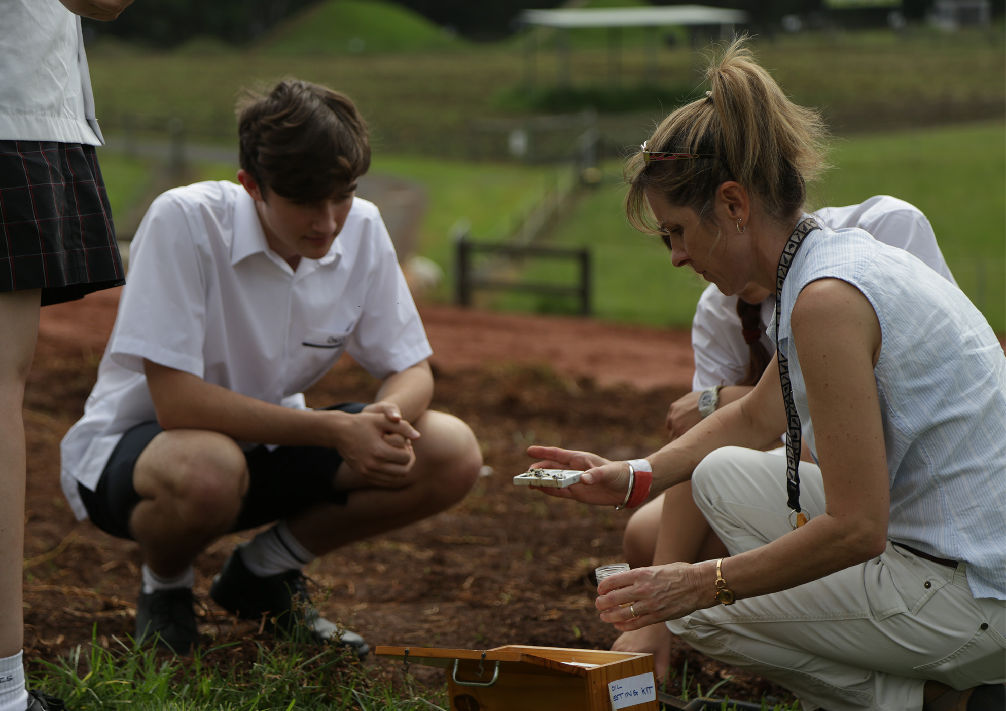 Agriculture at coffs christian community school