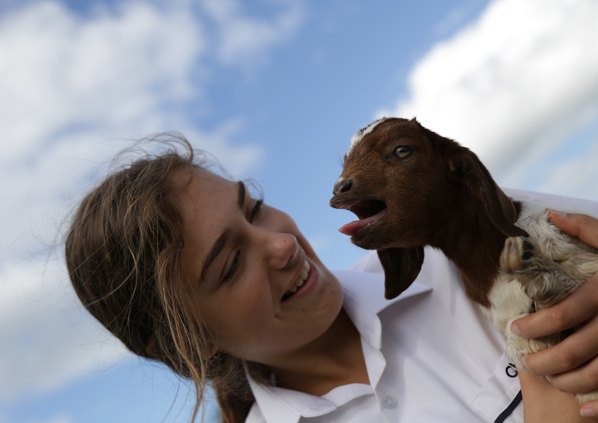 Agriculture at coffs christian community school