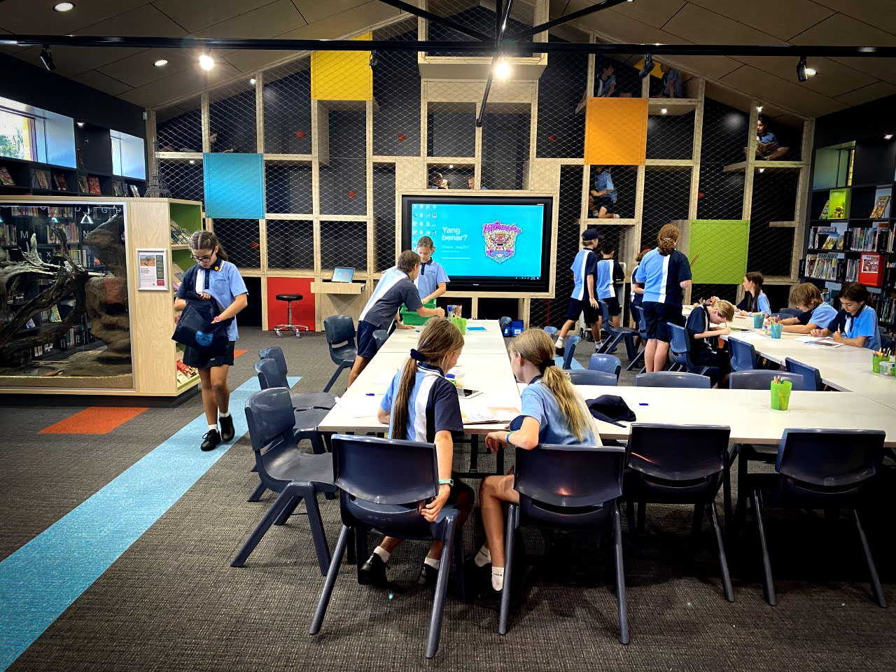 Junior School Coffs Harbour Christian Community School